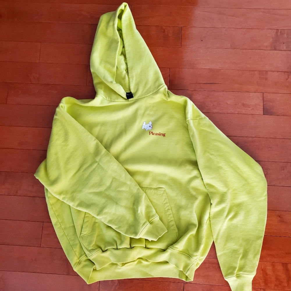 NWOT Harry Styles Pleasing Coachella Hoodie (L)
